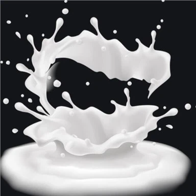 China Food Emulsifier Calcium Stearoyl Lactylate CAS NO.5793-94-2