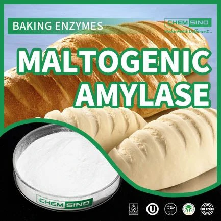 Maltogenic Amylase - ส่วนผสมที่หอมหวานที่สุดในสูตรของคุณ!CAS NO. 9000-92-4
