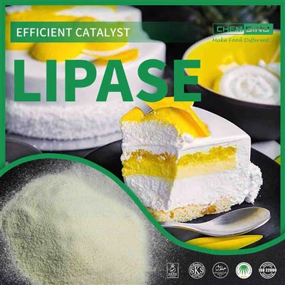 ผงไลเปสบริสุทธิ์สำหรับเบเกอรี่และขนมหวาน